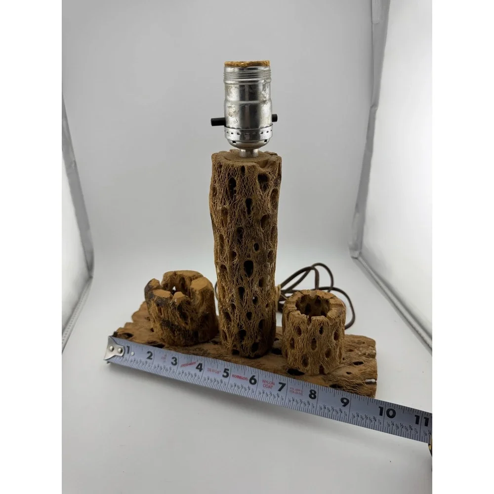 Cholla Cactus Lamp Rustic Desert‎ Decor Table Lamp Unique Accent Lighting